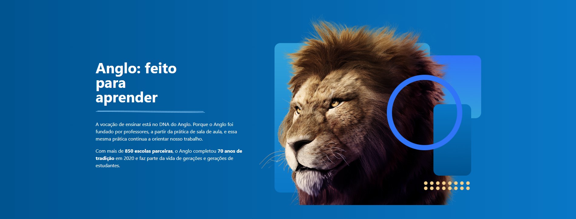 Banner Desktop